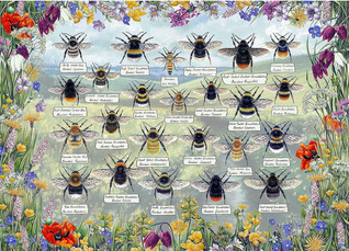 Gibsons Fiona Osbaldstone Brilliant Bees palapeli 1000 palaa
