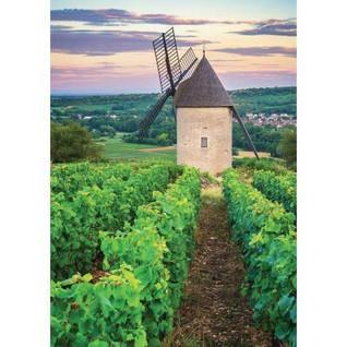 Nathan Moulin Sorine - Vignoble de Santenay - Bourgogne palapeli 1000 p
