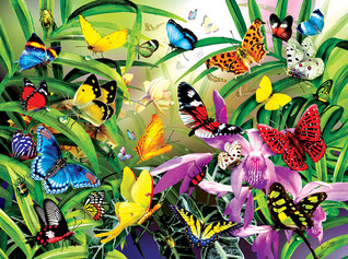 SunsOut Lori Schory - Tropical Butterflies palapeli 1000 palaa