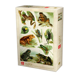 DToys Frogs - sammakot palapeli 1000 palaa