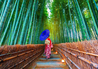 Enjoy Asian Woman in Bamboo Forest palapeli 1000 palaa