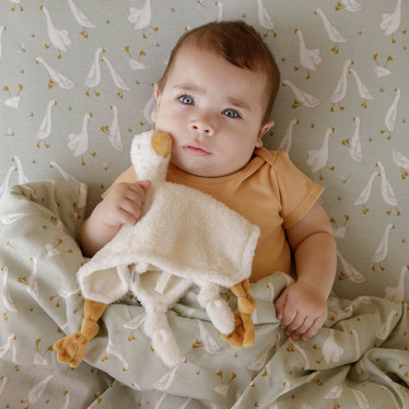 Little Dutch Hanhi unikaveri