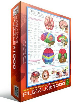 Eurographics The Brain palapeli 1000 palaa