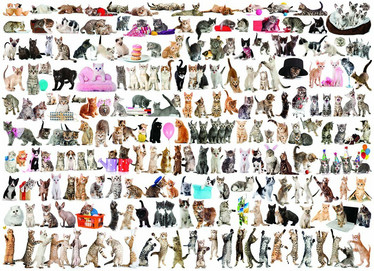 Eurographics The World of Cats palapeli 1000 palaa