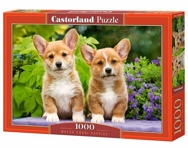 Castorland Welsh Corgi Puppies palapeli 1000 palaa