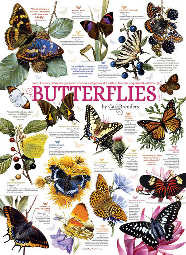 Cobble Hill Carl Brenders  Butterflies palapeli 1000 palaa