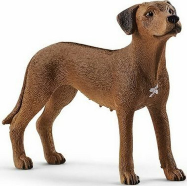 Schleich  Rhodesiankoira 13895