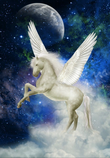 Grafika Pegasus palapeli 1000 palaa