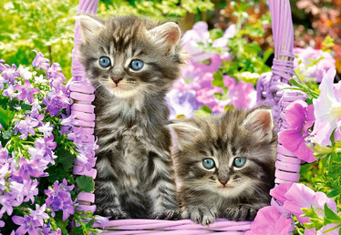 Castorland Kittens in Summer Garden palapeli 1000 palaa