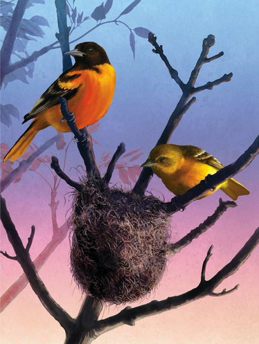New York Puzzle Company Baltimore Orioles palapeli 1000 palaa