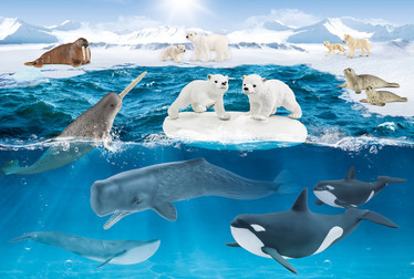 Schmidt Schleich Wild Life palapeli 60 palaa