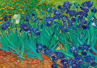 Bluebird Vincent Van Gogh - Irises, 1889 palapeli 1000 palaa