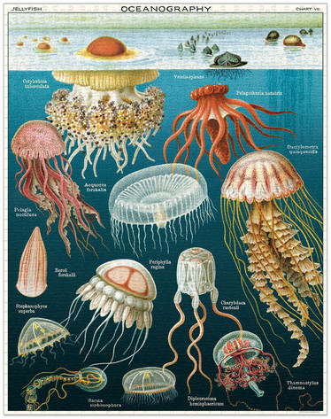 Cavallini Jellyfish palapeli 1000 palaa