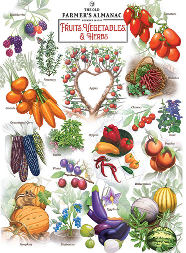 Master Pieces Fruits & Vegetables palapeli 1000 palaa