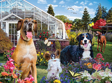 SunsOut Karen Burke - Conservatory Garden Canines palapeli 1000 palaa