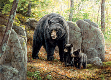 Cobble Hill Mama Bear palapeli 1000 palaa