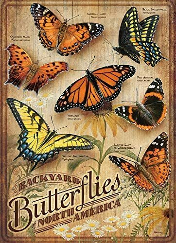 Cobble Hill Backyard Butterflies palapeli 500 palaa