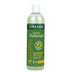 Groomers Naturals Chamomile & Argan Oil Shampoo 500 ml