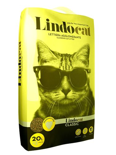 Lindo Cat