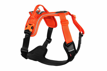 Non-Stop Dogwear Ramble valjaat