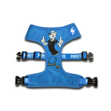 Dashi Popeye neo mesh valjaat XS