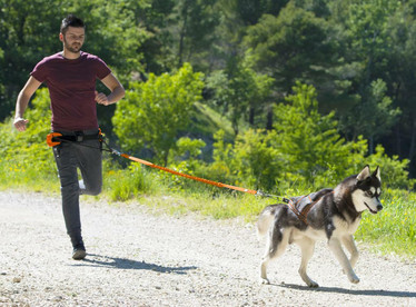 I-DOG CANICROSS SPORT X-BACK ONE valjaat