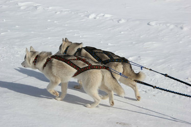 Manmat Sled valjaat