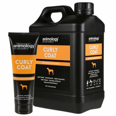 Animology Curly Coat Shampoo