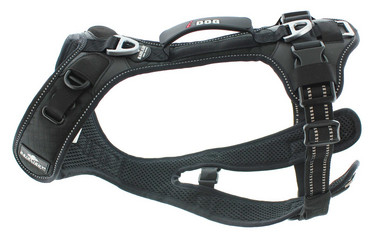 I-Dog RAIDLIGHT canicross valjaat