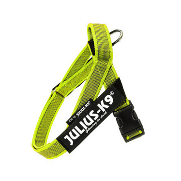 Julius-K9 Color & Grey Belt Valjaat