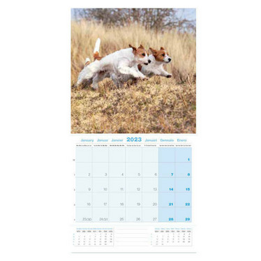 Jack Russelinterrieri kalenteri 2023