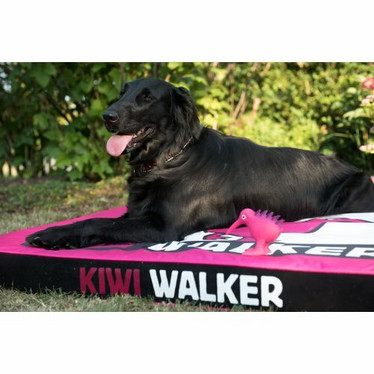 Kiwi Walker ortopedinen Memory Foam peti