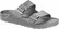 Arizona EVA 1003491 (Hopea)