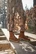 NewFeet 192-83-1734