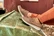 NewFeet 202-72-1535