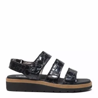 NewFeet 221-17-1910