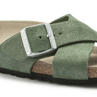 Siena 1023666 (Thyme)