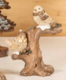 Birds on branch
