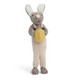 Big grey  bunny