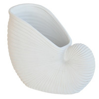 A clam pot