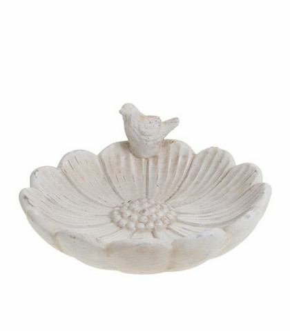 bird water basin big