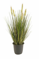 Heinäpensas