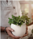 Glazed pot white small