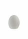 Small white egg