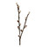 willow branch 36cm