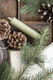 Candle green