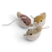 Birdset felt