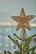 Top star f/Christmas tree Cane