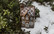 Christmas house 1