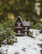 Christmashouse 6